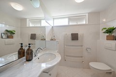 Tormentil 5 Castricum De Groot 27.JPG